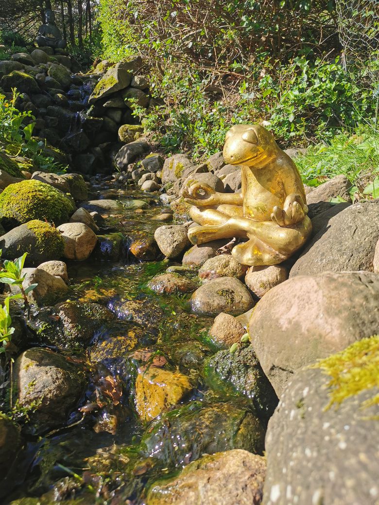 Meditation.jpg